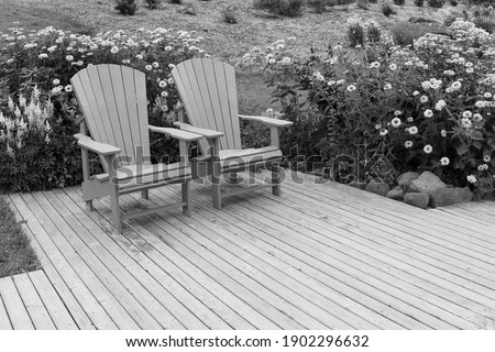 Two chairs in the outdoor garden in black and white