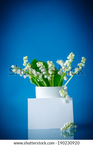 beautiful spring lilies with a clean form for congratulation