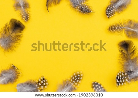 Frame of quail feathers on a yellow background.Trending colors of  2021.Happy Easter flat lay, top view,copy space.