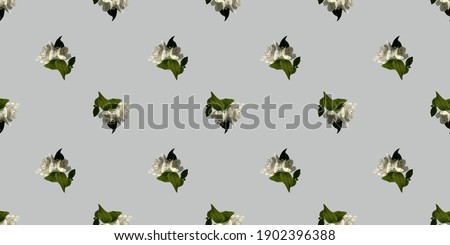 Beautiful seamless pattern with jasmine flowers