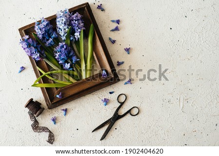 Old wooden frame with spring flowers and leaves on rustic wooden background. Spring flowers composition with copy space.