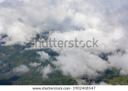 White clouds covering the forest ,high angle shot.