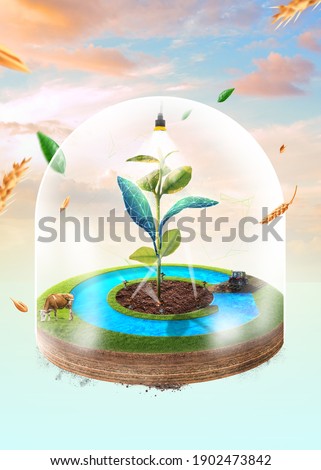 Side view of an agricultural terrain with a pool inside, under a beautiful sky.