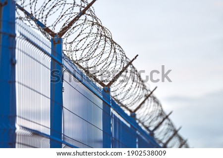 Barbed wire on blue fence of restricted area. No unauthorized entry. New fence of military border territory