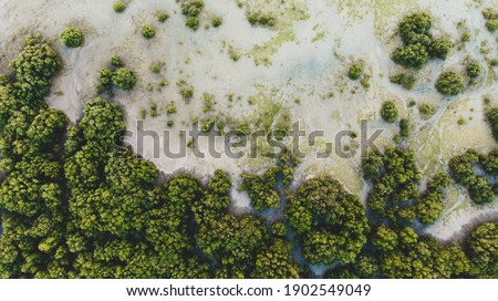 An aeriel view of mangroves in the UAE during sunset and golden hour. Royalty-Free Stock Photo #1902549049