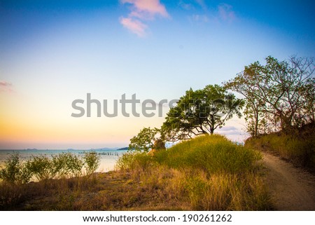 Green trees and Sunset on Sea in Samui island