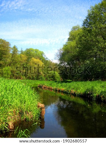 macro photo with a decorative background of a summer rural landscape with a forest and a river for design as a source for prints, posters, decor, interiors, wallpaper, advertising