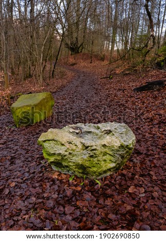 A large white stone with beautiful red forest leaves on the ground. Picture from Lund, southern Sweden