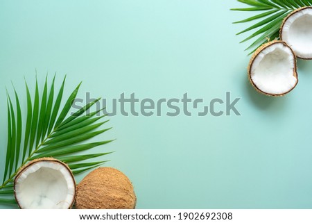 Tropical green palm leaf and cracked coconut on Green background.