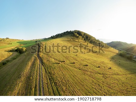 Drone view of autumn meadow hiils and forest. Aerial nature shot. Altai regoin, Russia