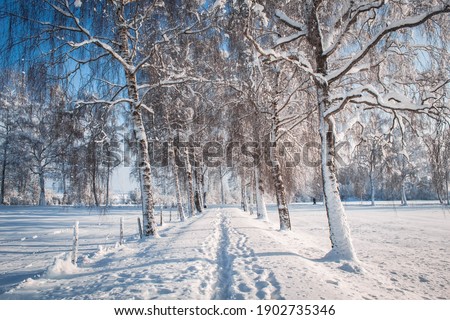 Landscape covers in white snow  Royalty-Free Stock Photo #1902735346