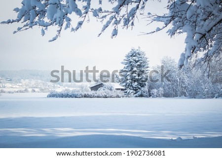 Landscape covers in white snow  Royalty-Free Stock Photo #1902736081
