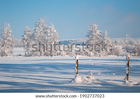 Landscape covers in white snow  Royalty-Free Stock Photo #1902737023