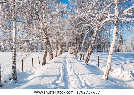 Landscape covers in white snow  Royalty-Free Stock Photo #1902737659
