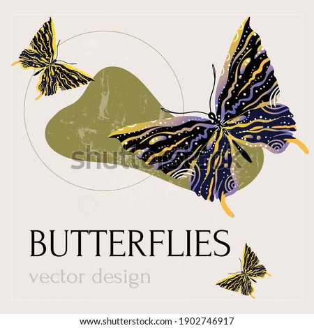 Butterfly greeting card background abstract vector