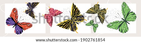butterfly set vector design magic abstraction