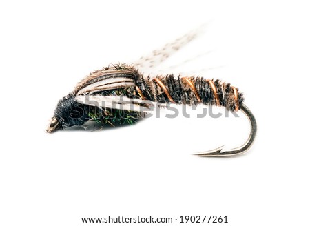 fishing fly close up picture