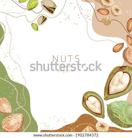 Stylized nuts on an abstract background. Pistachios, hazelnuts, almonds, nuts. Banner, poster, wrapping paper, sticker, print, paper, label. Vector illustration.  Royalty-Free Stock Photo #1902784372