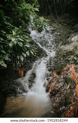 Rainforest waterfall in slow shutter mode.