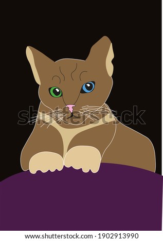 Minimalistic illustration of cat in CMYK format