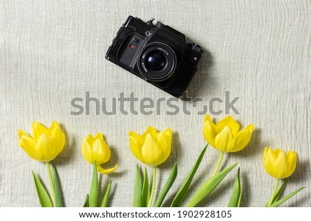 vintage camera in the middle on linen towel with yellow tulips frame. spring concept.