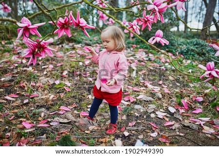 Adorable toddler girl near giant magnolia in full bloom. Child exploring nature in Park Floral in Paris, France