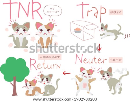 Set illustration of the regional cat plan and Japanese letter. Translation : "What is TNR?" "Capture" "Fix" "Return it to the original place"