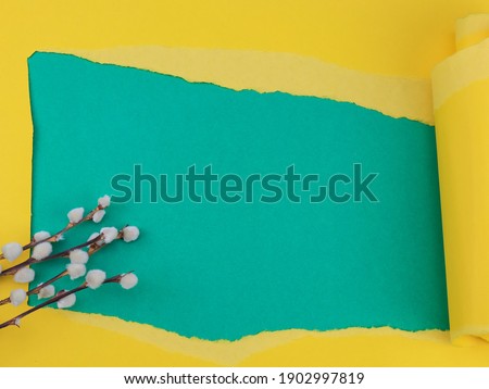 Torn yellow paper with pussy willow and space for your text on a green background, top view close-up.