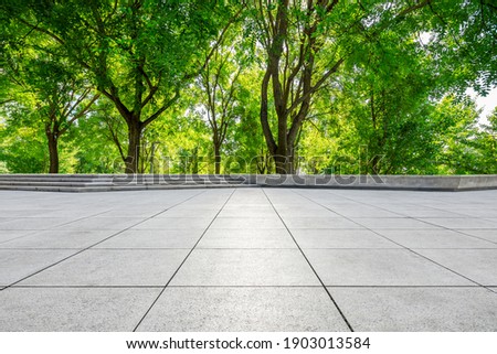 Empty square floor and green forest in city park.