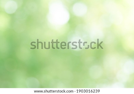 Light green bokeh nature abstract background