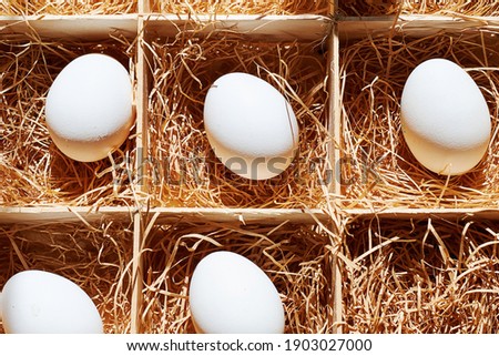 White eggs in a straw in the special food box. Easter holidays backgrounds