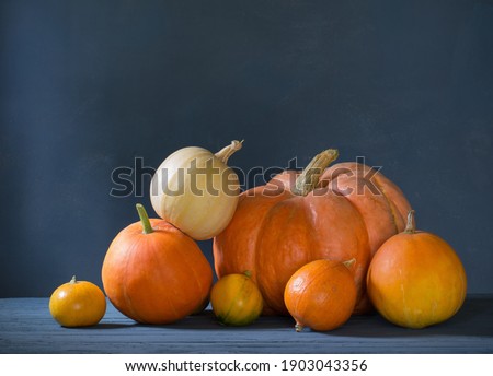 orange pumpkin on dark blue background