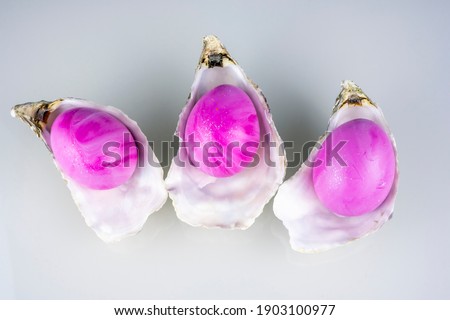 Oyster shells with pink easter colored eggs isolated on a grey background. Macro close up