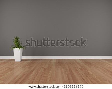 Dark grey wall and wooden floor with plant