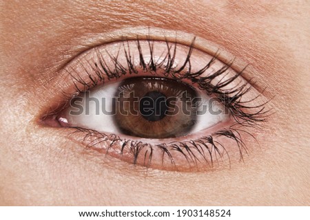 Close up shot of woman eye with hazel brown eyes Royalty-Free Stock Photo #1903148524