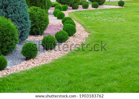 Landscape bed of garden with wave ornamental growth cypress bushes gravel mulch by color rock way on a day spring park with green lawn meadow, nobody.
 Royalty-Free Stock Photo #1903183762