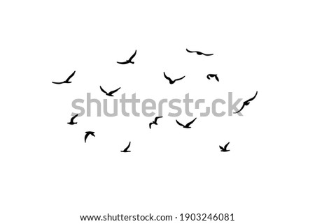 A flock of flying silhouette birds. Black on white background. Vector illustration