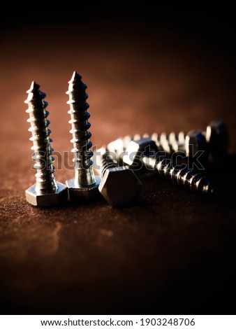 Screw and nuts. Industrial object.