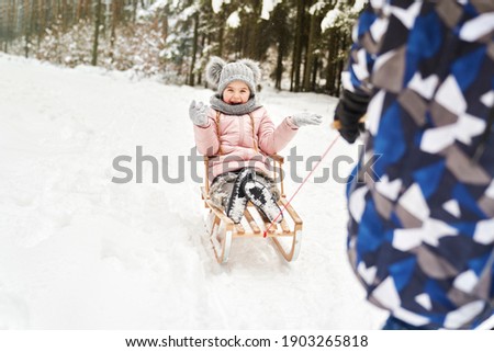 Little girl on winter holidays riding sled in the snow                               