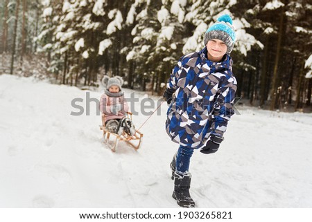 Boy pulling sledge with little sister in snow                               
