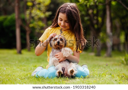 the girl makes a ponytail to her favorite dog Royalty-Free Stock Photo #1903318240