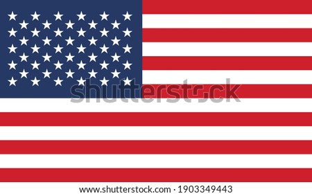 Official American Flag Vector Image