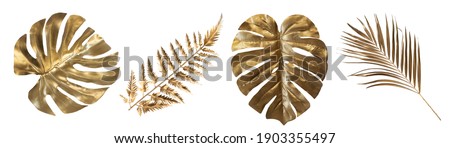 Tropical leaves in gold color on white space background.Abstract monstera leaf decoration design.clipping path Royalty-Free Stock Photo #1903355497
