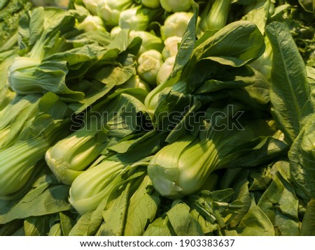 Group of green salad vegetables on a store shelf 