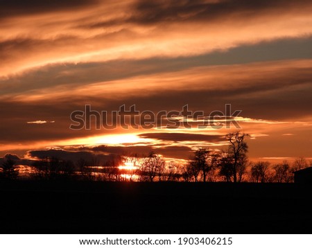 silhouette of trees in front of a red sunset