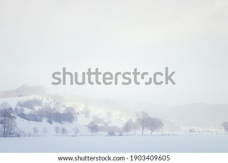 Snowfall in the rural scenery. Winter landscape with trees. Cold weather. Sunny, foggy background concept.