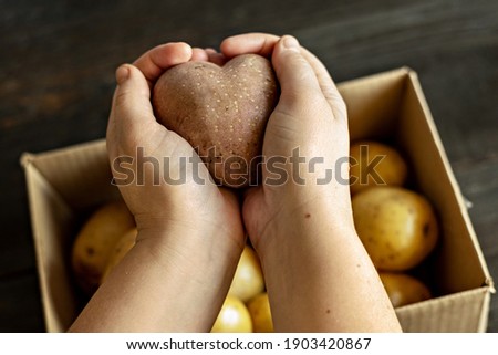 Female hands holding a heart-shaped ugly vegetable potato over a box filled with potatoes. square, ugly food.