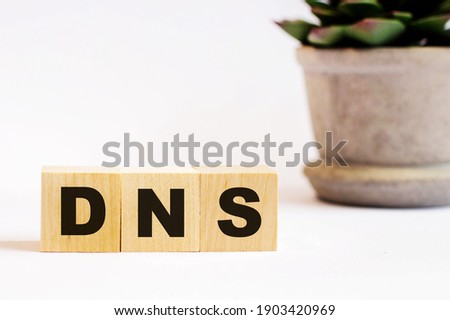 On a light background, wooden cubes with the inscription DNS and a flower in a pot. Defocus