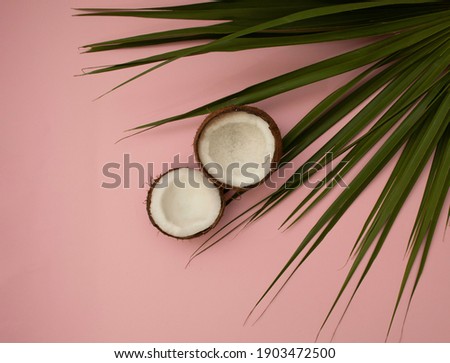 Halfs of coconut in minimal style. Ripe coconuts on pale pink background with palm leaves. op art design, creative summer concept. New vintage style.
