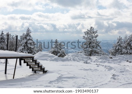 Winter mountain forest trees snow landscape